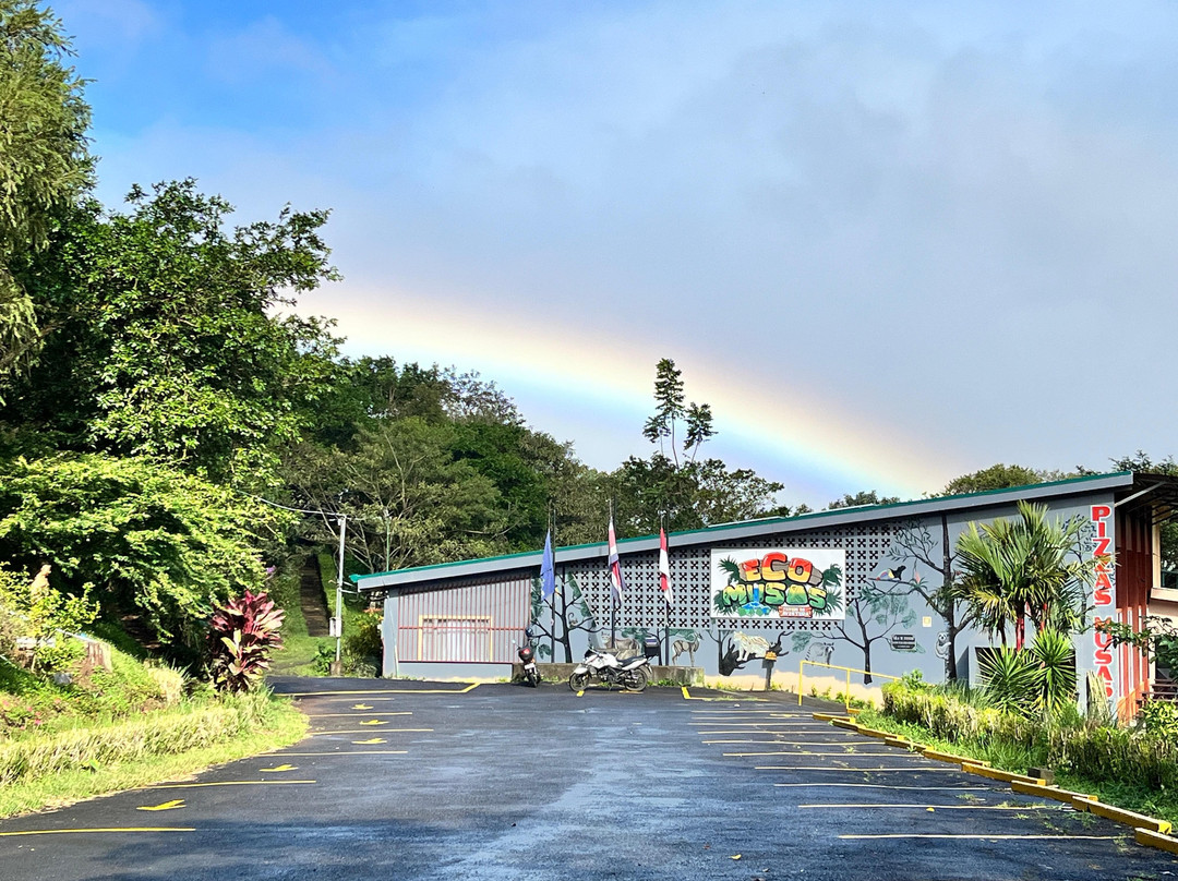 Parque De Aventura Eco Musas景点图片