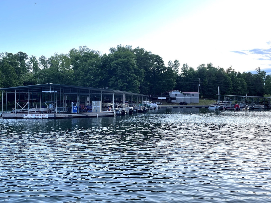 Nottely Boat Club & Marina景点图片