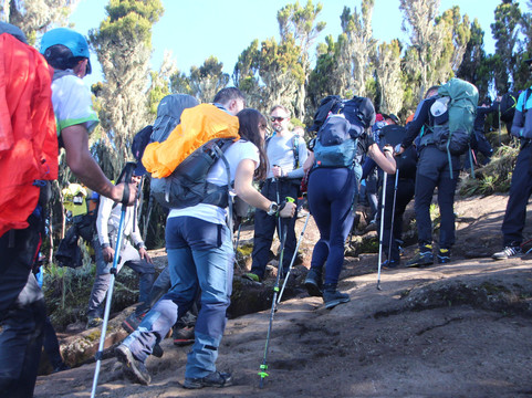 #1 Affordable Kilimanjaro Machame Route 6 & 7 Days Group Joining Climbing | Trekking | Hiking Tours from Moshi | BURIGI CHATO SAFARIS CO. LTD
