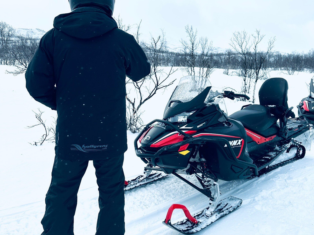 Outback Abisko-阿比斯库必去景点