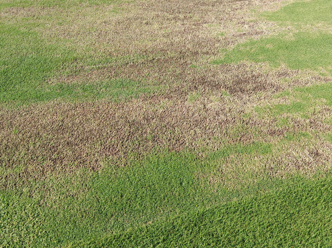 绿河谷清迈乡村俱乐部-夜林必去景点