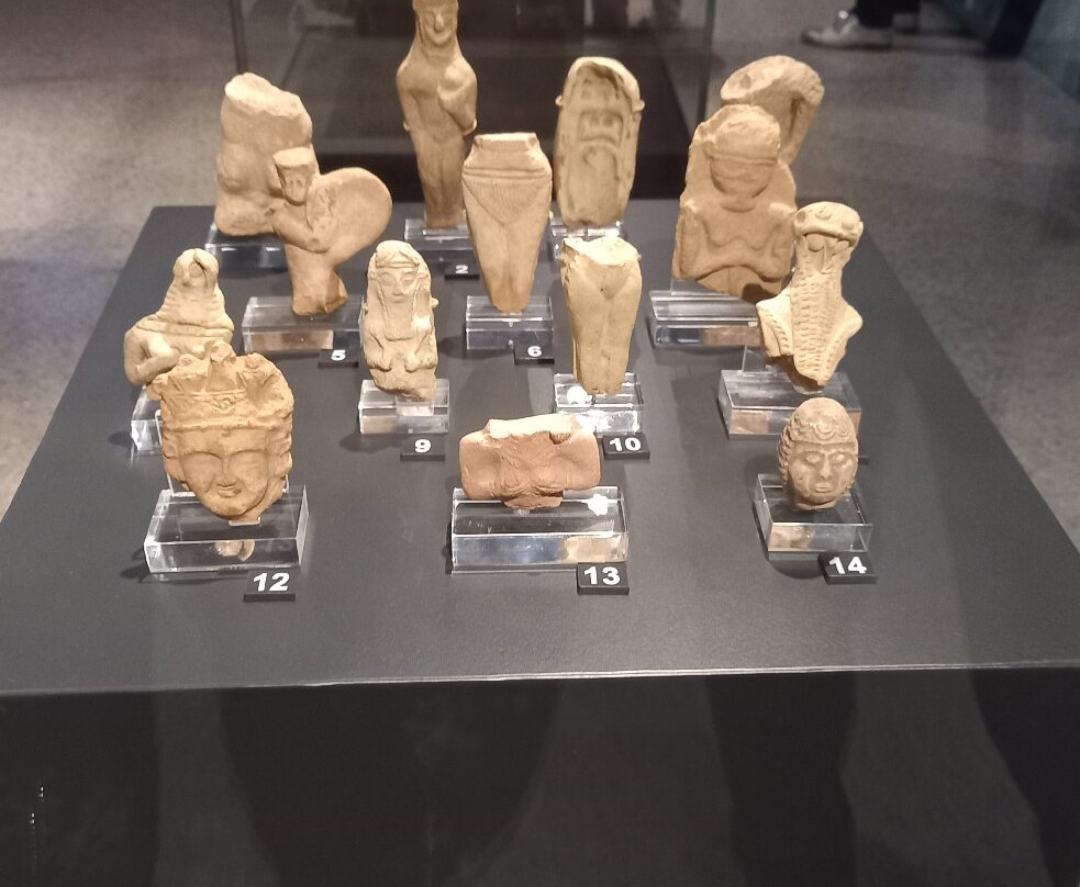Museo Archeologico Nazionale Di Mantova景点图片