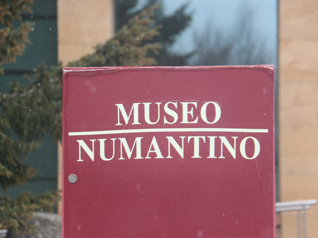 Museo Numantino景点图片