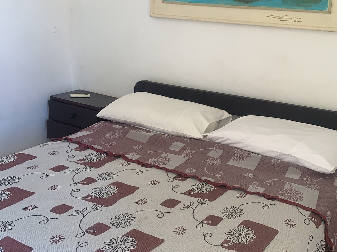 Hot Springs of Arapey-Salto必去景点