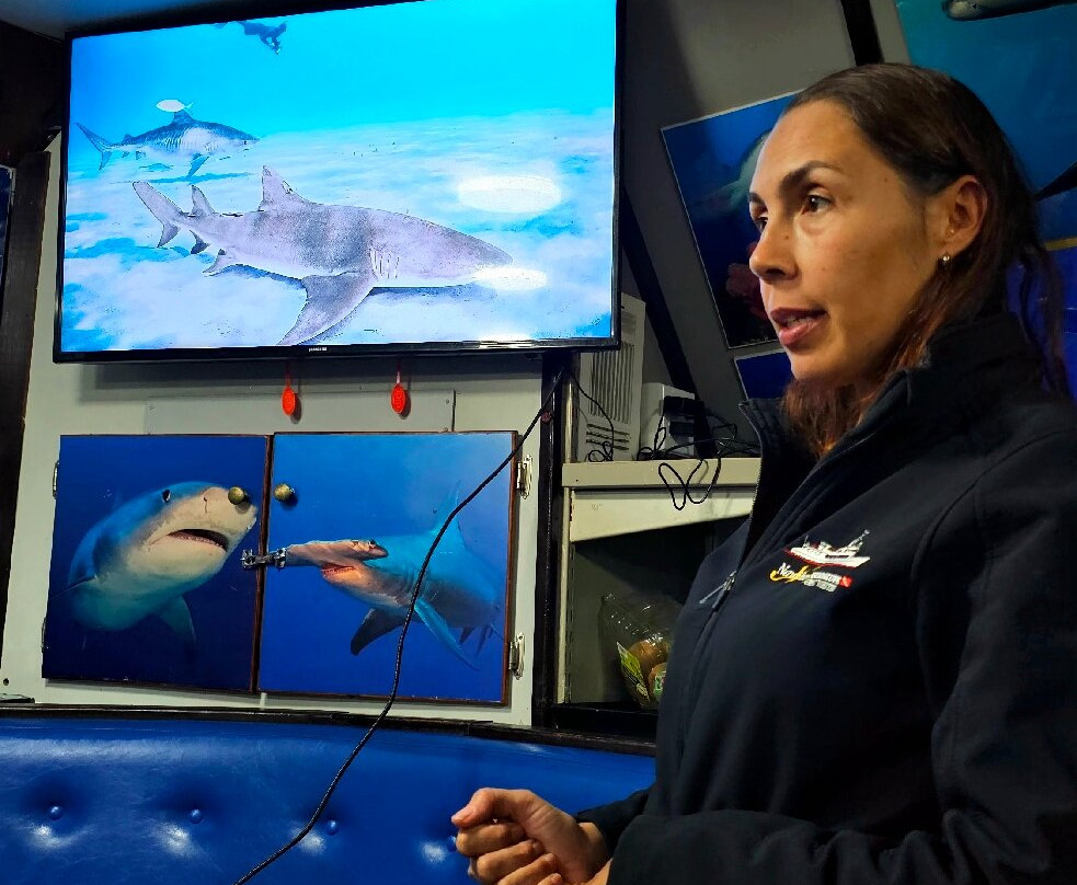 Great Xplorers-Eusebio必去景点