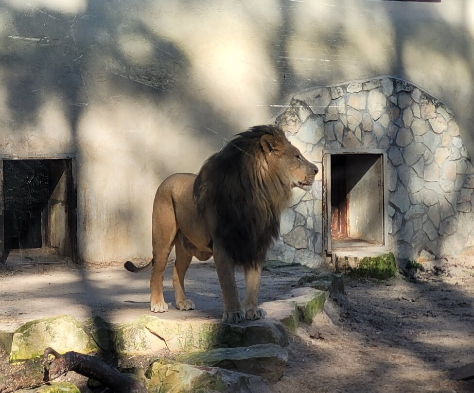 Riga Zoo-里加必去景点