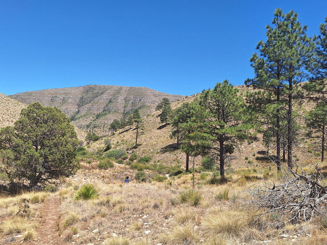 McKittrick Canyon-Guadalupe Mountains National Park必去景点