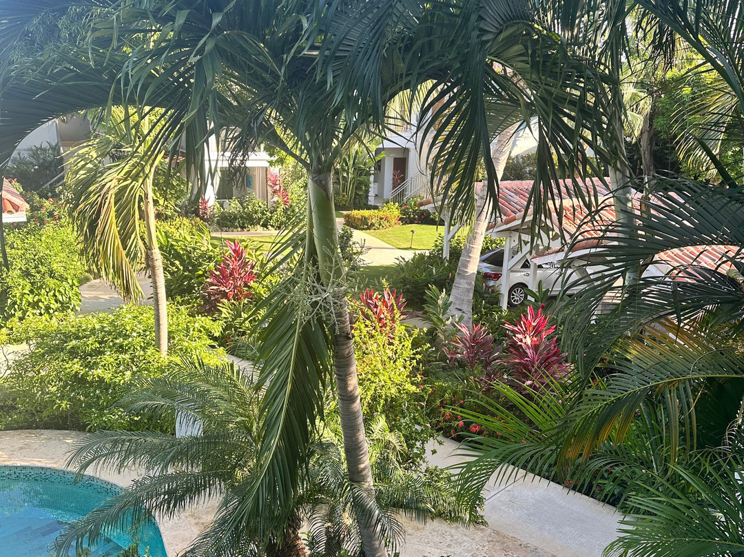 Sandals Montego Bay主图