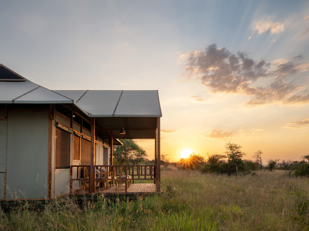 Nyikani Camp - Central Serengeti主图