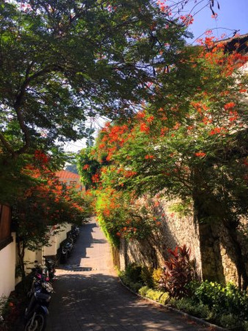 卡尔玛金巴兰酒店主图