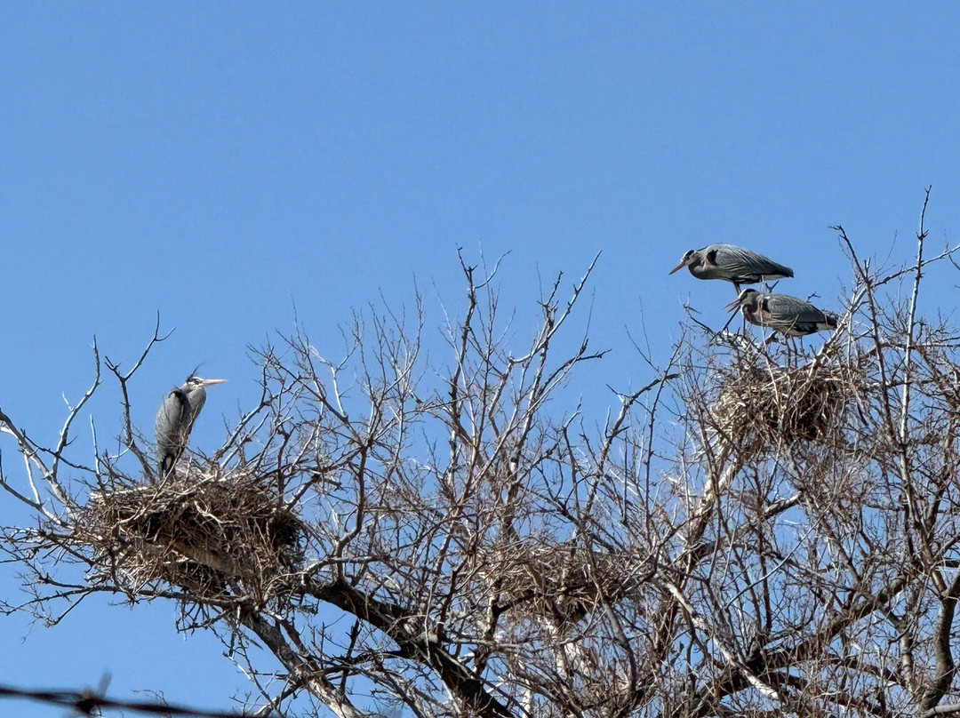 Dusty Trails-北普拉特必去景点