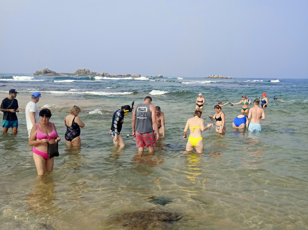 Turtle Beach-希克杜沃必去景点