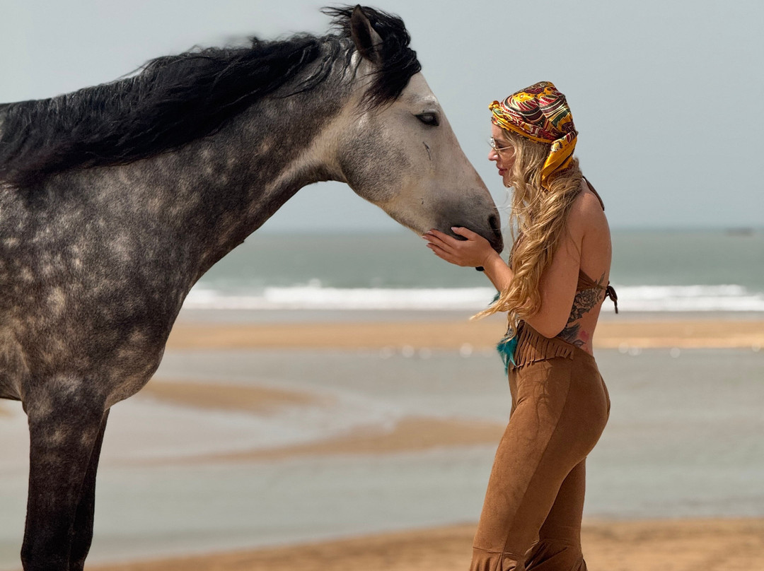 Ocean Ranch Essaouira-索维拉必去景点