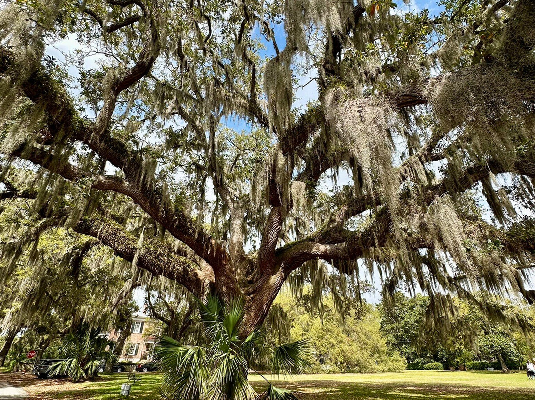 The Point-博福特必去景点