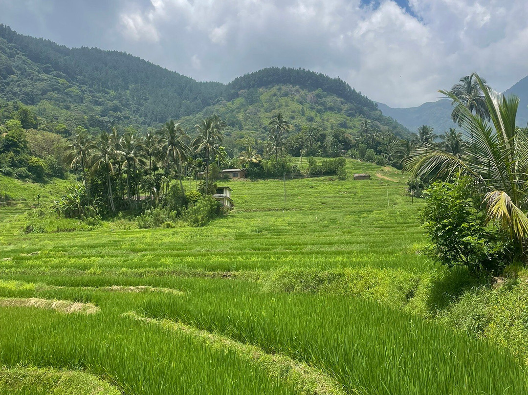 Sri Lanka Trekking景点图片