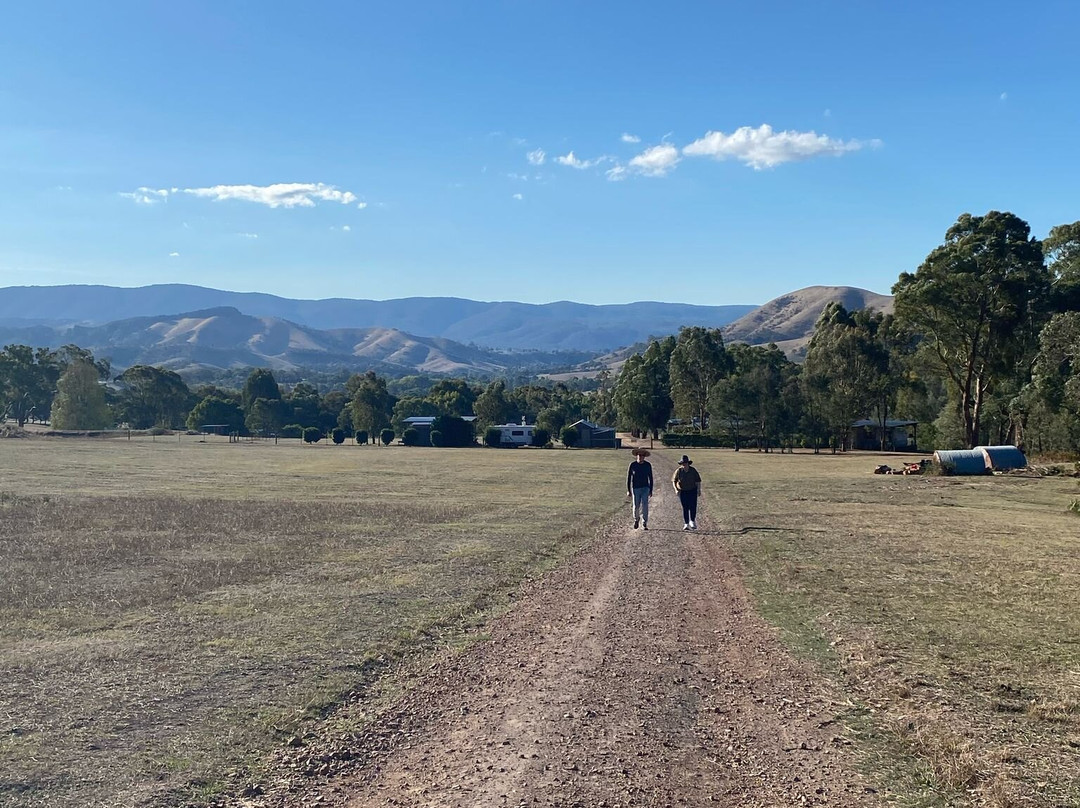 The Village Green主图