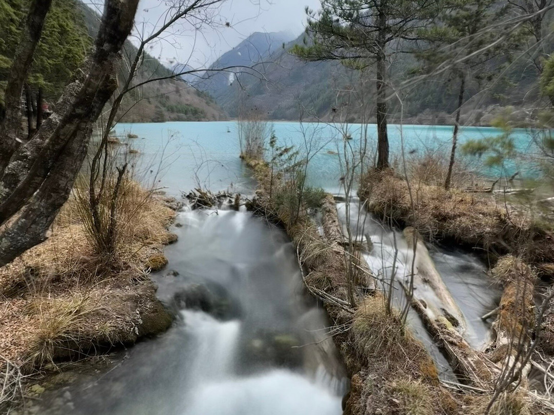 熊猫海景点图片
