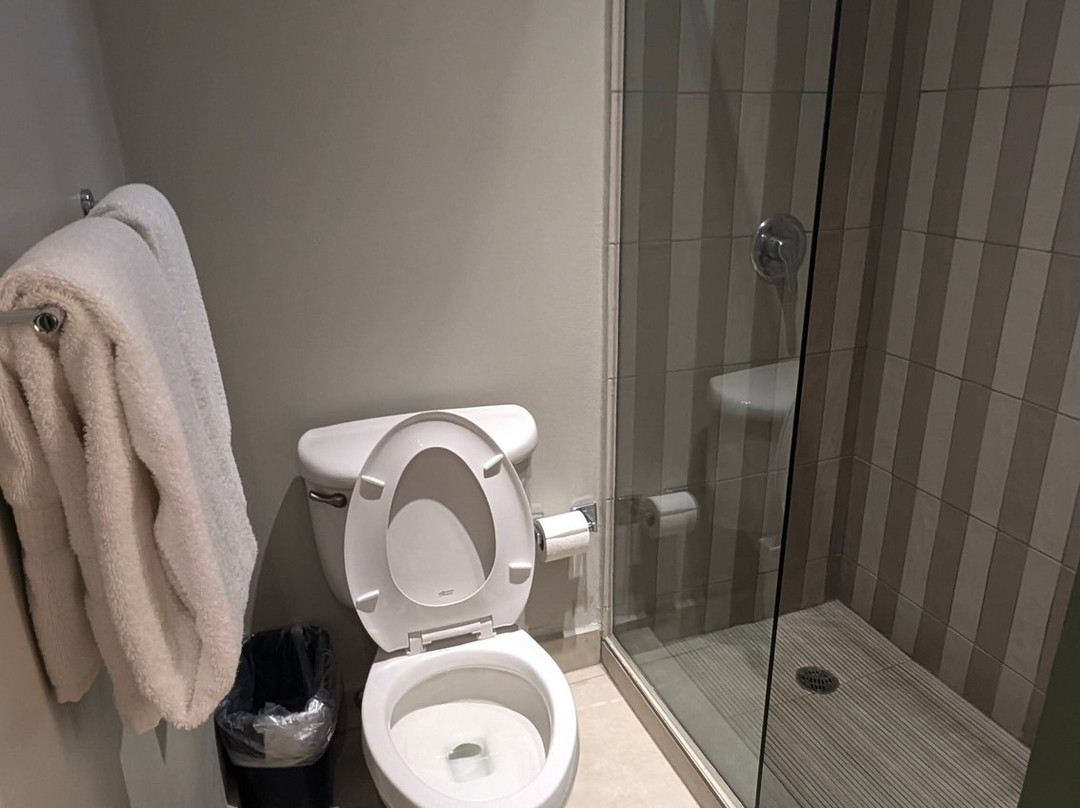 Comfort Inn & Suites主图