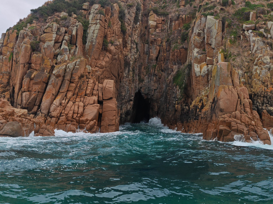 Ocean Adventures Phillip Island-圣雷莫必去景点