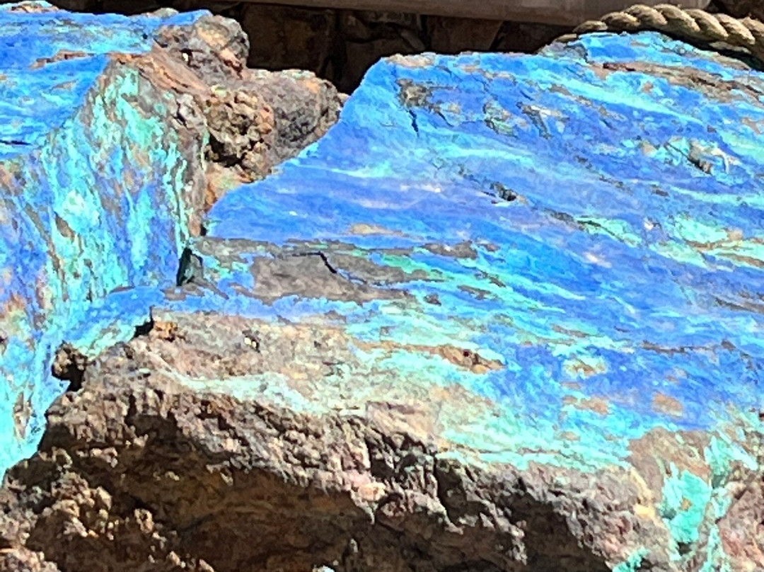 Tohono Chul-图森必去景点