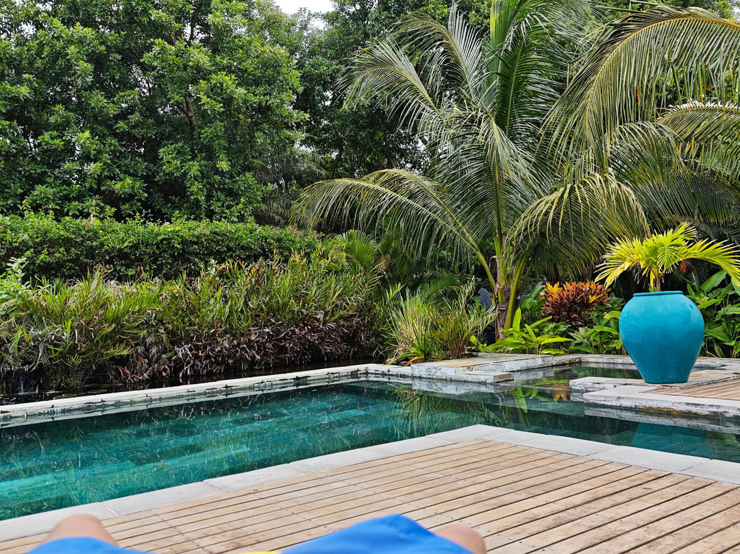 The Good Life Mauritius主图