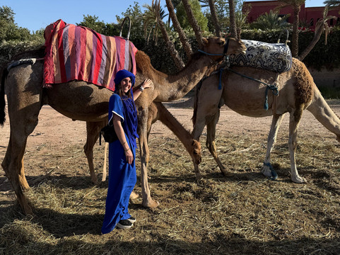 KARMA DIR TRAVEL-马拉喀什必去景点