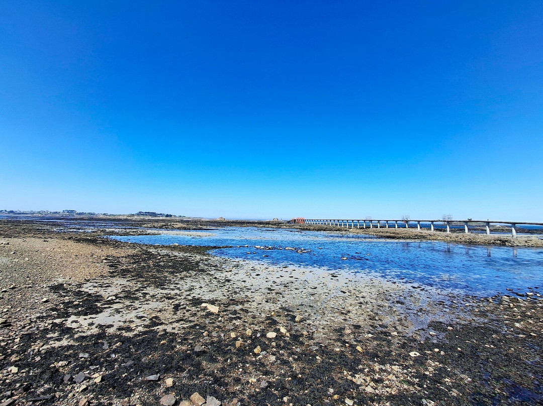 Pont de Roscoff-罗斯科夫必去景点
