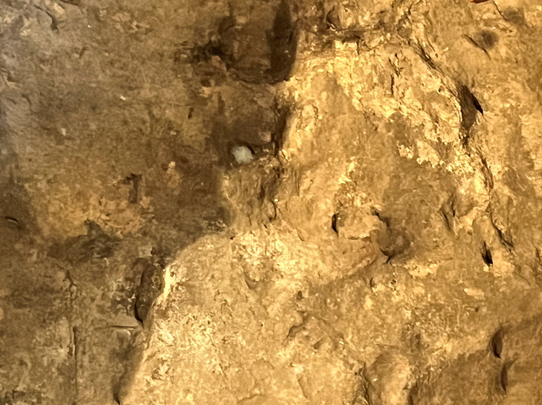 Theopetra Prehistoric Cave-卡兰巴卡必去景点