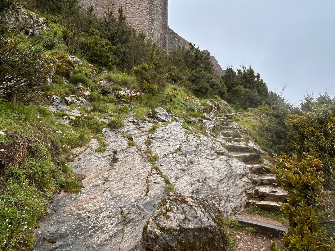 Chateau de Peyrepertuse景点图片