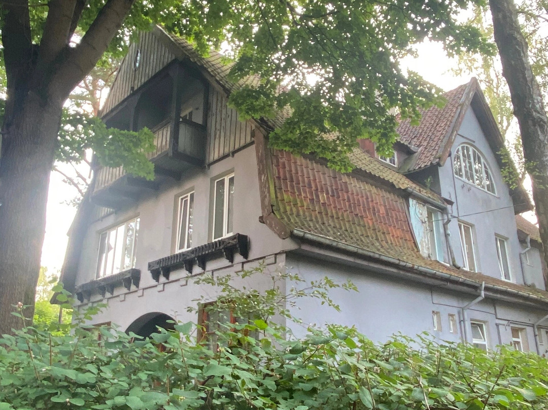 Villa Rosenhaus景点图片