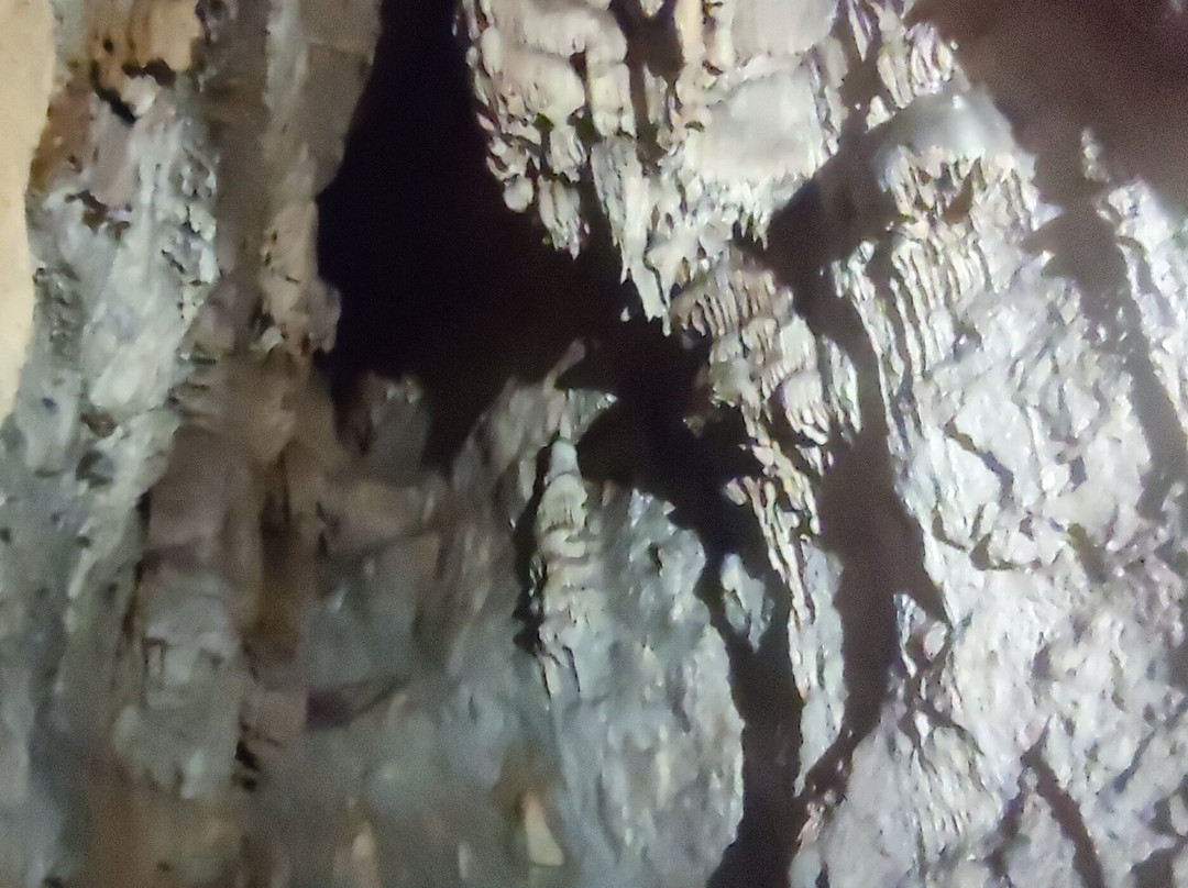 Grotte de la Glacière-Chaux-les-Passavant必去景点