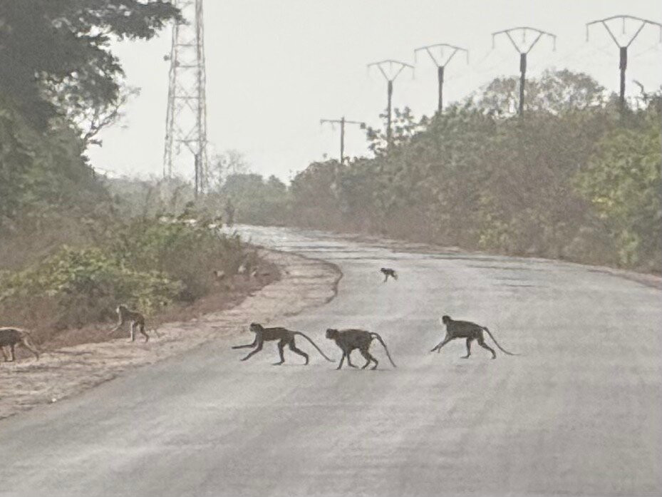 Tours, Taxis By Bakary