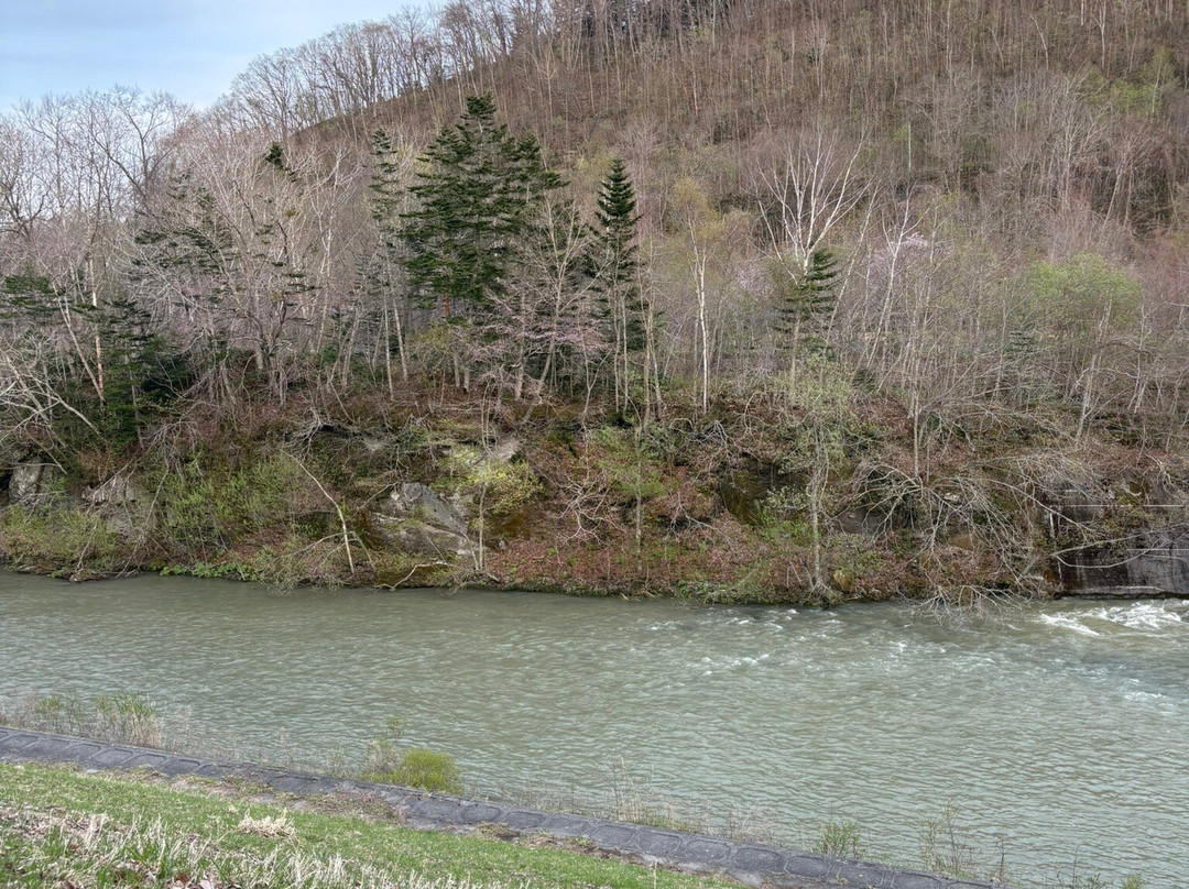 Lake Eniwa Jiyu Hiroba-惠庭市必去景点