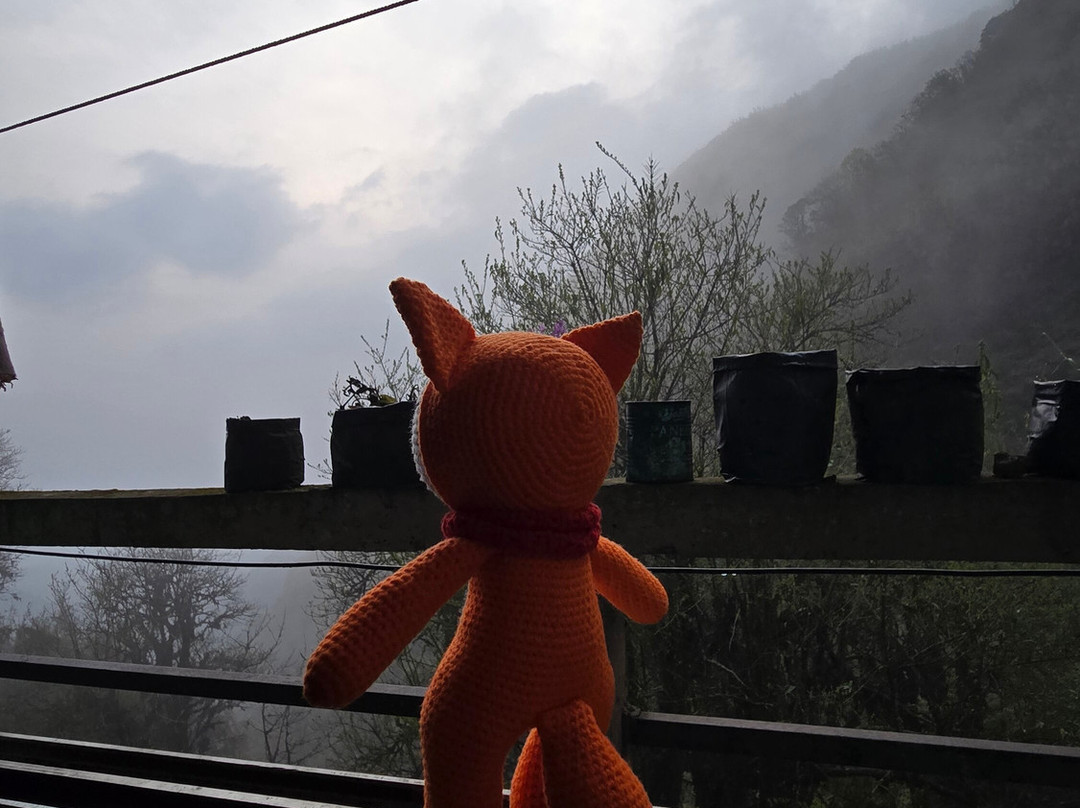 Adventures Unlimited景点图片