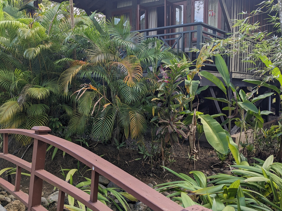 Sunset At The Palms主图