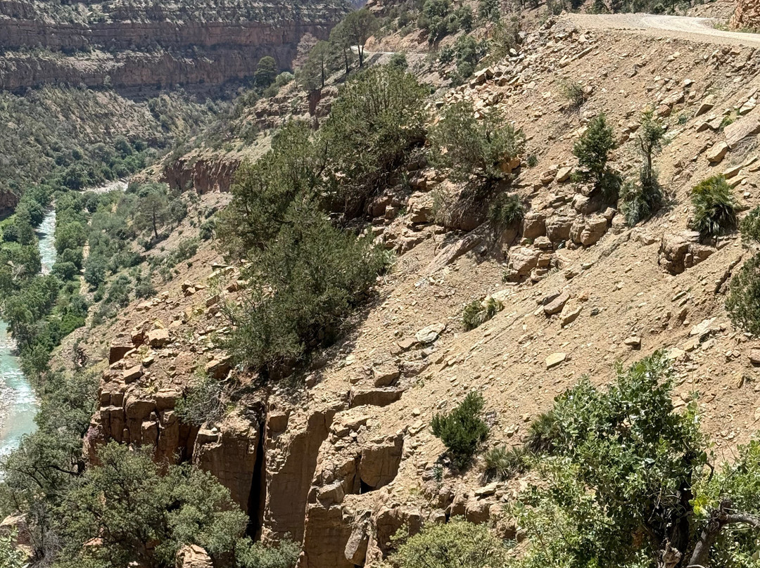 Atlas Mountain Bike-马拉喀什必去景点