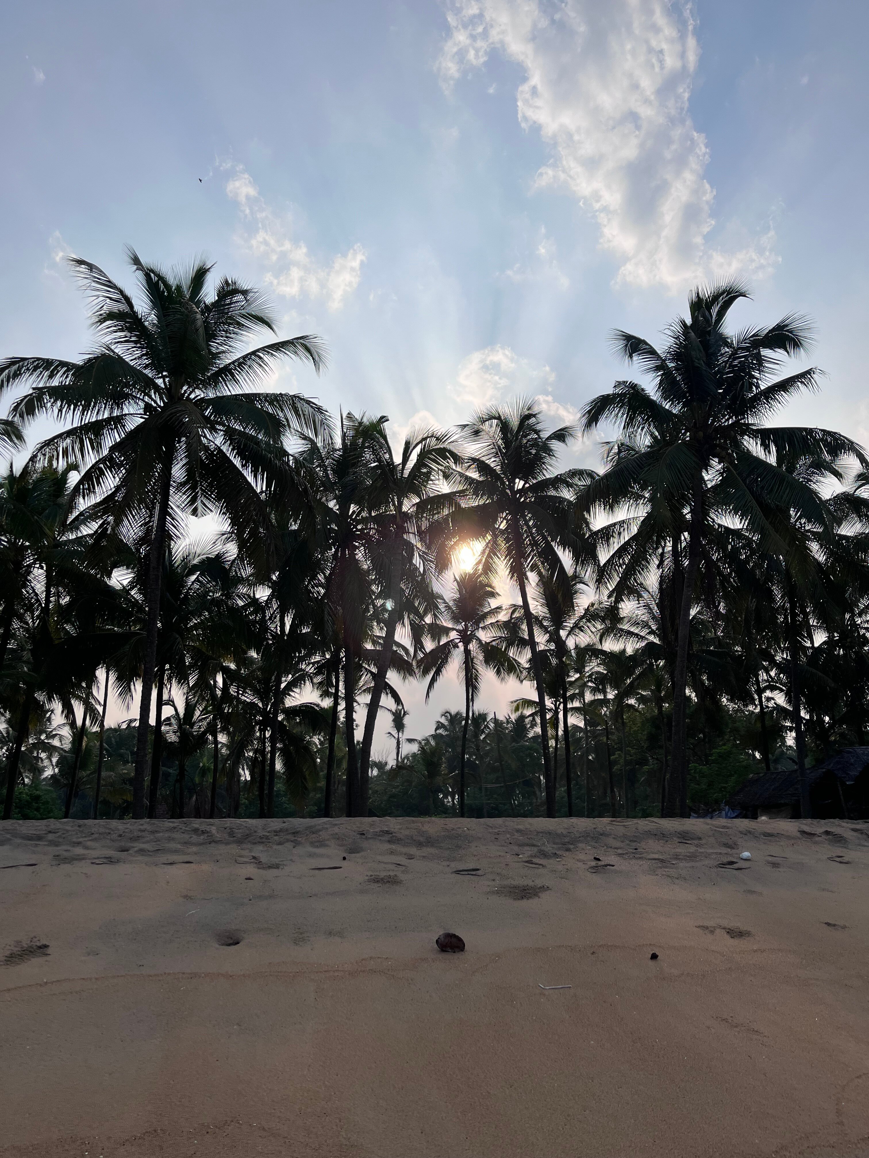 Meiveda Ayurveda Beach Resort-官方