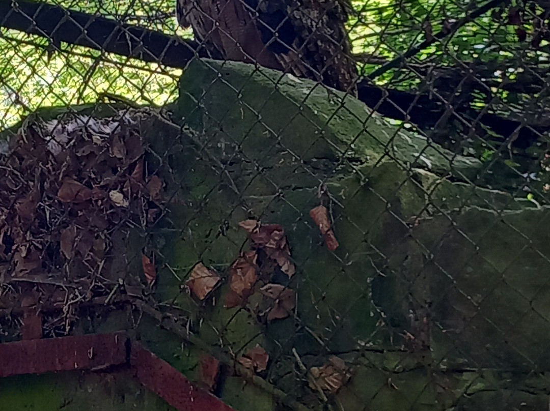 Heimattiergarten Fürstenwalde-Furstenwalde必去景点