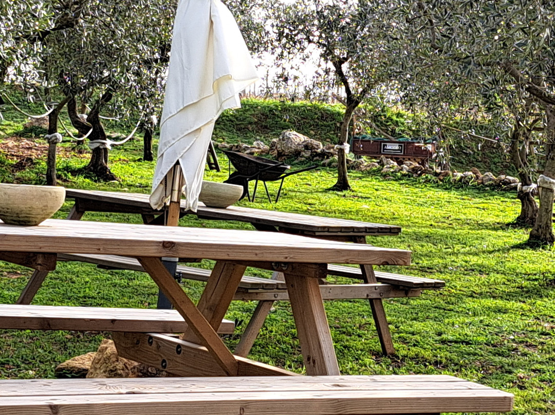 Amodeo's Farm - Olive Oil Producers in Sicily景点图片