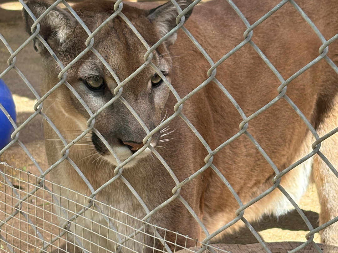 Southwest Wildlife Conservation Center景点图片