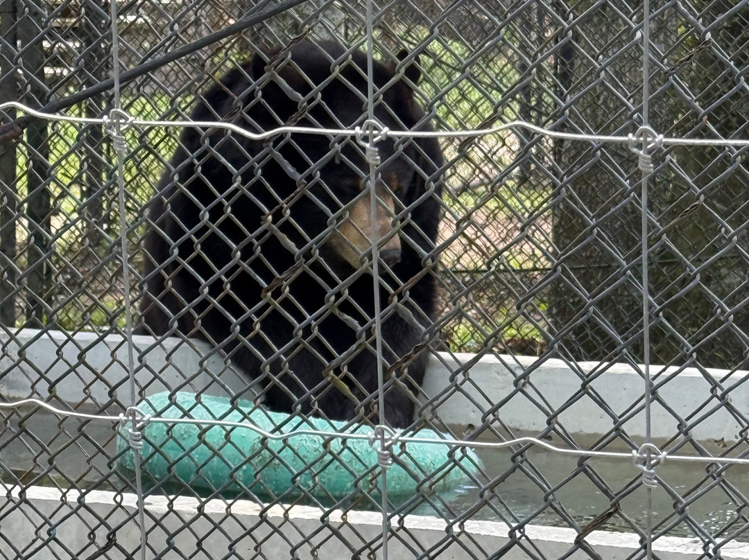 Catty Shack Ranch Wildlife Sanctuary-杰克逊维尔必去景点