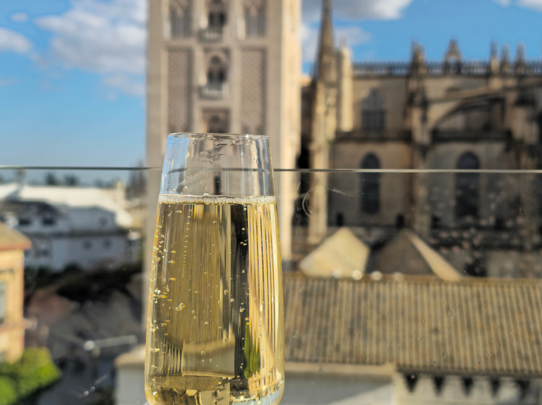 La Terraza del EME-塞维利亚必去景点