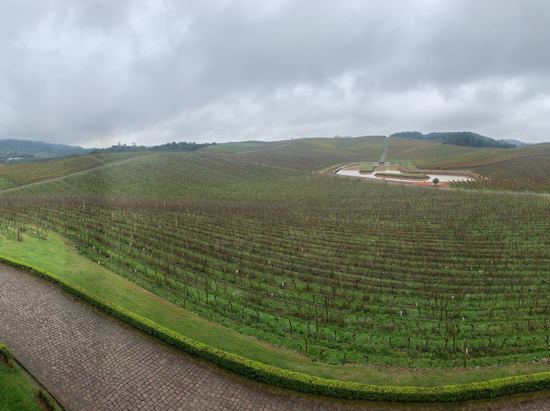 Vinicola Luiz Argenta-Flores Da Cunha必去景点