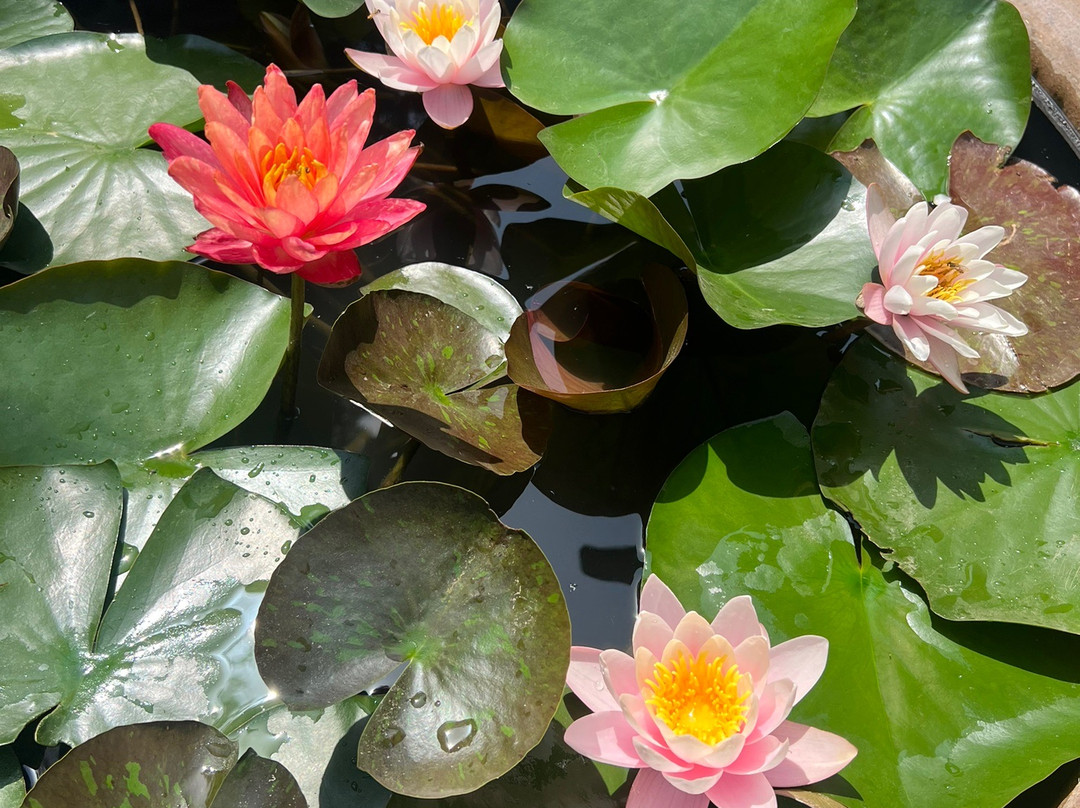 淮安府衙-淮安市必去景点