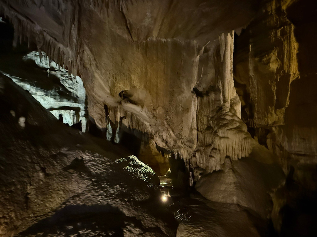 Sequoia Parks Conservancy-Three Rivers必去景点