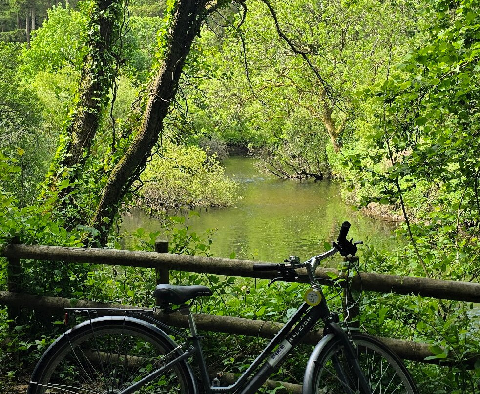 Explore by Bike-博德明必去景点