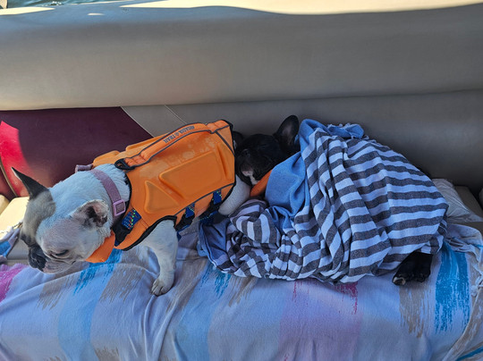 Hudson Marina-橙色海湾必去景点