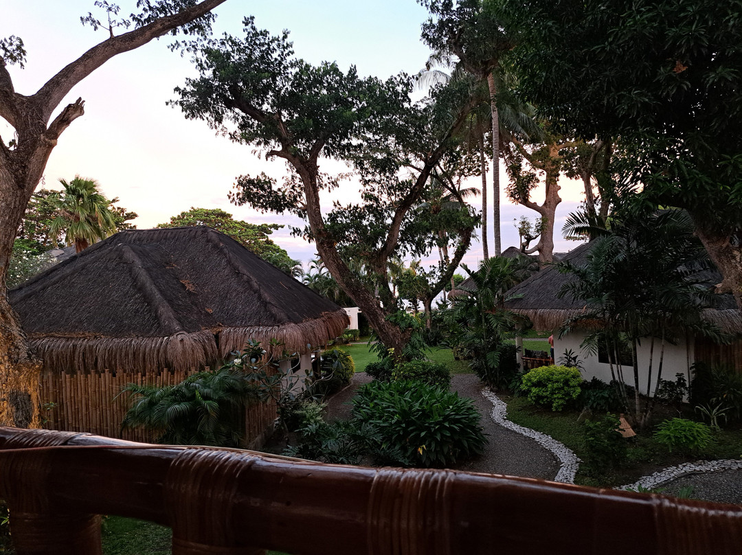 Pura Vida Beach & Dive Resort主图