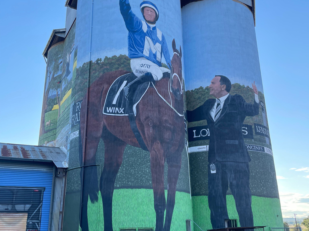 Silo Art Dunedoo-Dunedoo必去景点
