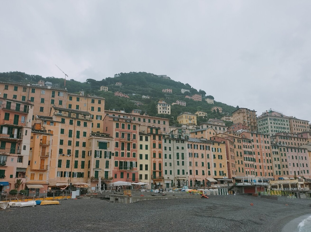 Lungomare di Camogli景点图片